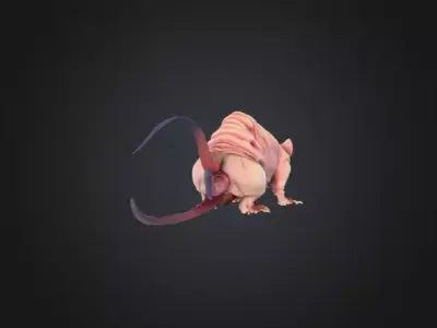 Mutant Rat Low-poly 3D model