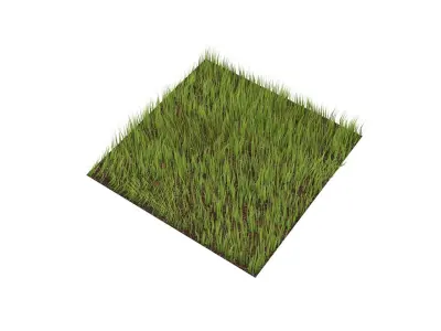 Grass 3D model