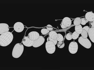 Green Grapes  3D model