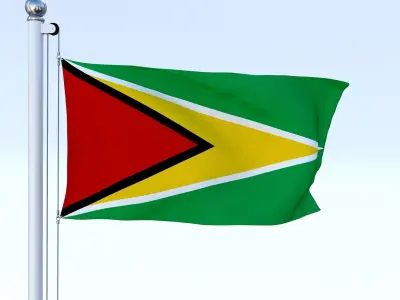 Animated Guyana Flag Low-poly 3D model