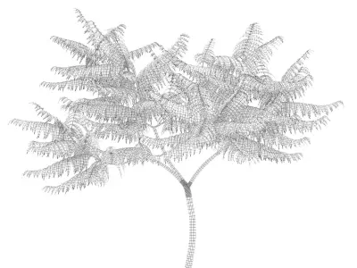 Rhus Typhina 02 3D model