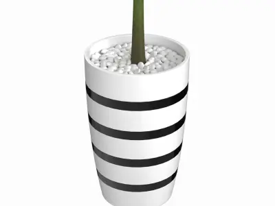 Green Palm decorative plant 1 3D model