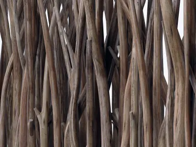 Branch screen sang n1 3D model