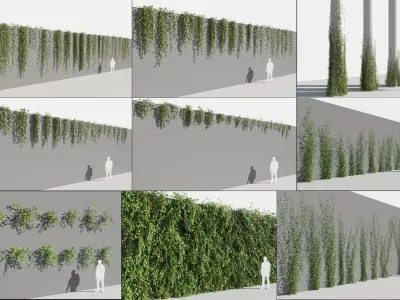  Epipremnum Aureum (+GrowFX) 