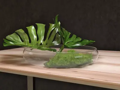 Philodendron Dianthus Vessel 3D model