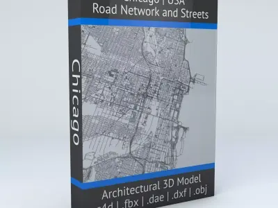 Chicago Road Network and Streets 3D model