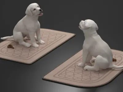  Labrador Retriever Puppy Pooped on the Mat 