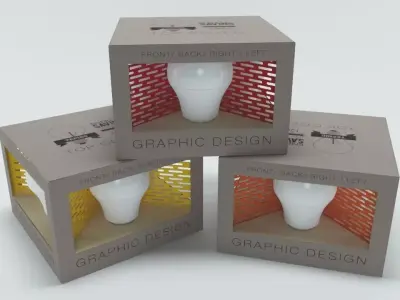 CARDBOARD PACKAGING FOR LIGHT2 3D model
