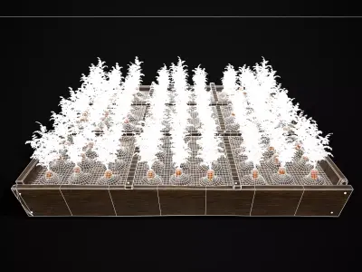 Square Planting Plot with Carrots Low-poly 3D model