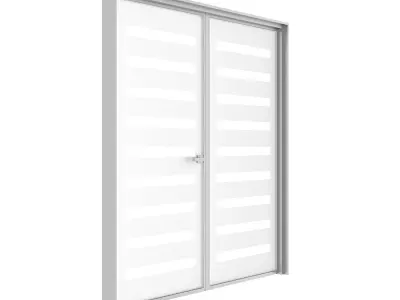 Double Glass Door 3D model