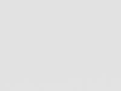 DRON S350 with adult camera Low-poly 3D model