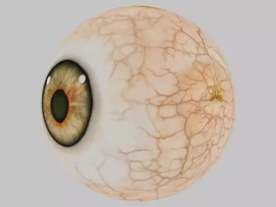 3D Eye Model with Realistic Textures Low-poly 3D model