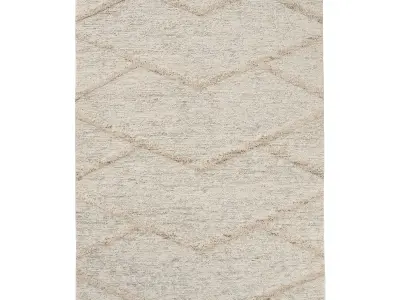 ARHAAN JUTE RUG 3D model