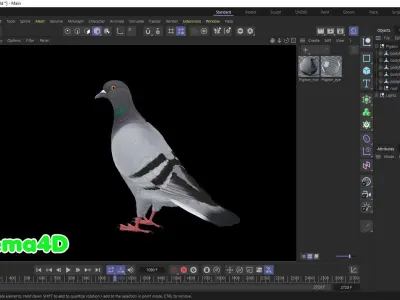  Realistic Animated Rock Pigeon Low-poly 