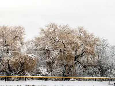 Panorama of the park with a lake and snow-covered trees - 40k 3D model