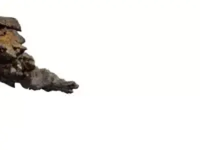 Weathered Driftwood Pack Low-poly 3D model