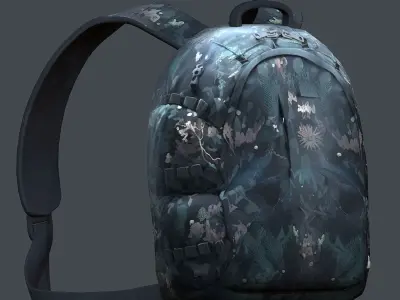 Backpack Camping Generic military human bag storqge baggage 3D model