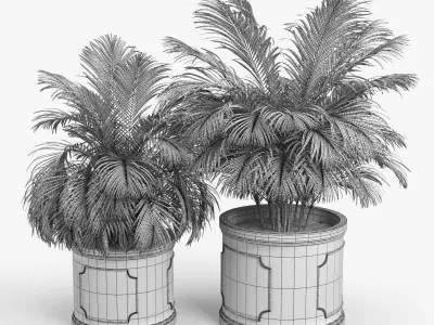 Birmingham Planter Palm 3D model
