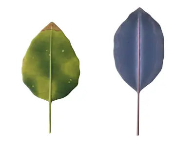 Leaves Low-poly 3D model