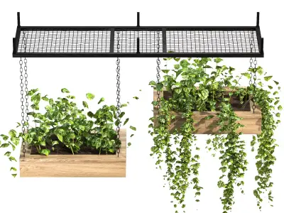 Hanging Plant 03 3D model