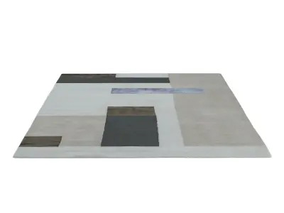 Friedai RUG 3D model