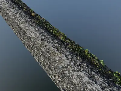 Roadedgecampscan01 3D model