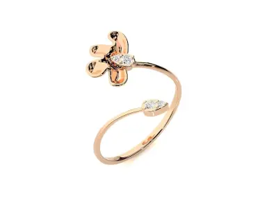 Ring - 117 3D print model