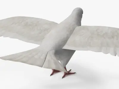  Lowpoly Dove Wings Extended White 