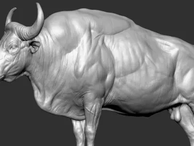  Gaur Bos gaurus VFX most Zbrush Sculpture Digitale 