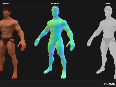 Combo 3 types Body Big Muscle Small Muscle and Skinny 3D Model Pack