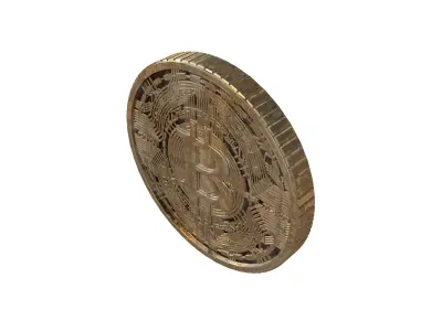 Bitcoin v6 005 3D model