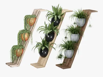 Zeta By Bloss 3D model