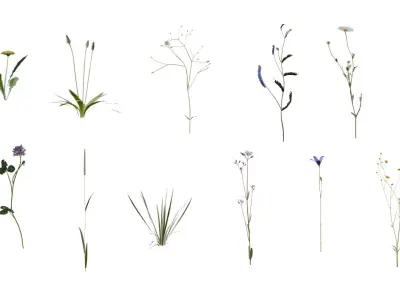 European Meadow Flora Realistic 3D Plants Full Collection Low-poly 3D model