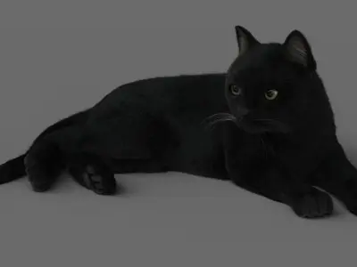 Cat (2) (Black) (ANIMATED) (FUR) 