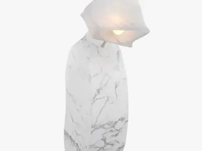 Flood Series Table Lamp PBR 3D model