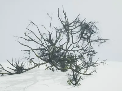 Tree Die Old Free low-poly 3D model