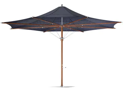 Tensile Parasol 3D model