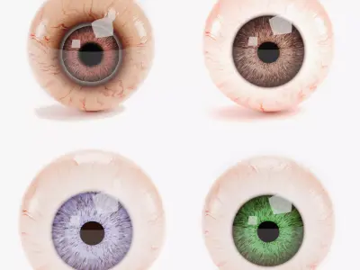 4 Eyeball Collection - Realistic Anatomy 3D Model Pack
