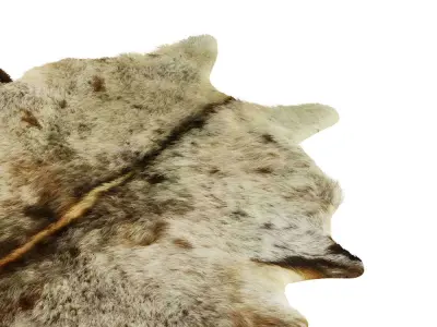 Carpet Cowhide Brown White 11 3D model