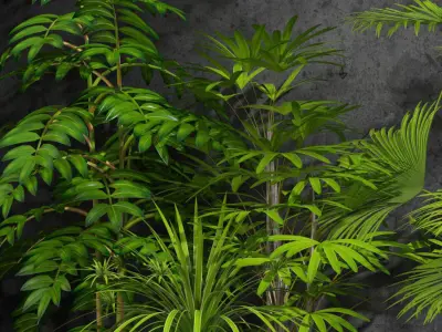 Room plants 3D model