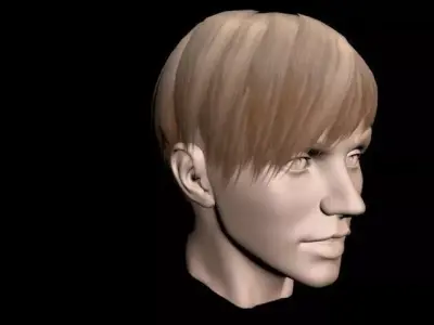 Haircut No 6 - Short Light Brown Hair for Woman 3D model