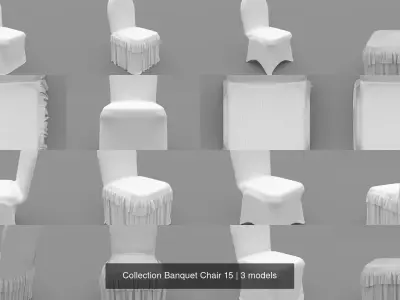 Collection Banquet Chair 15 3D Model Pack