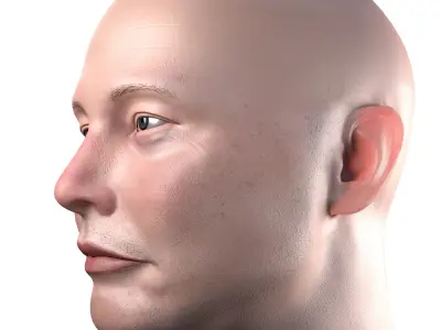 Elon Musk skin textured 3D portrait  Low-poly 3D model