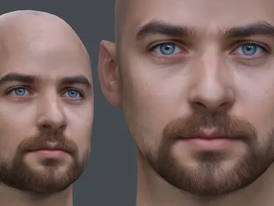 Male head Realistic Perfect Head Low-poly 3D model game ready  Low-poly 3D model