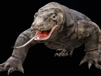  Komodo Dragon Detailed Rigged PBR 
