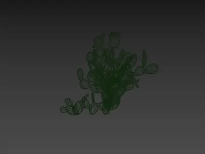 Low Poly Cactus Stylish Low-poly 3D model