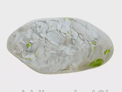 Mossy River Rock with Glossy Surface model pack Low-poly 3D model