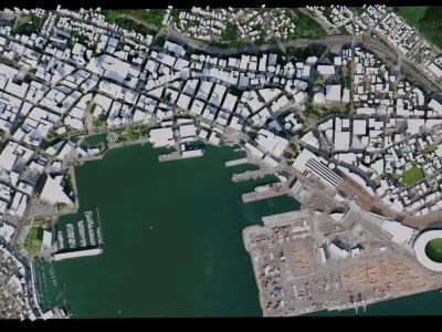 Wellington - New Zealand 3D model