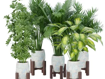 71 Plant collection vol 200 3D Model Pack