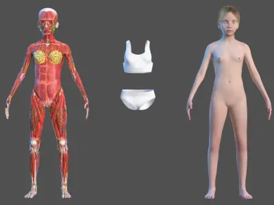  Complete Full Body Kid Girl Anatomy Fur 